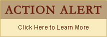 Action Alert News